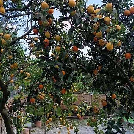 Rosetta Holiday home