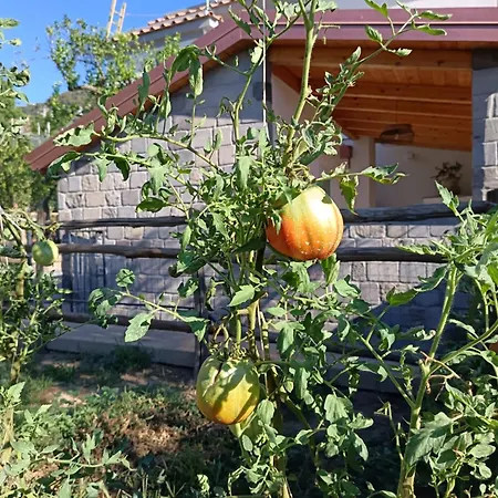 Rosetta Holiday home Meta